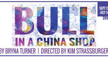 Bull in a China Shop