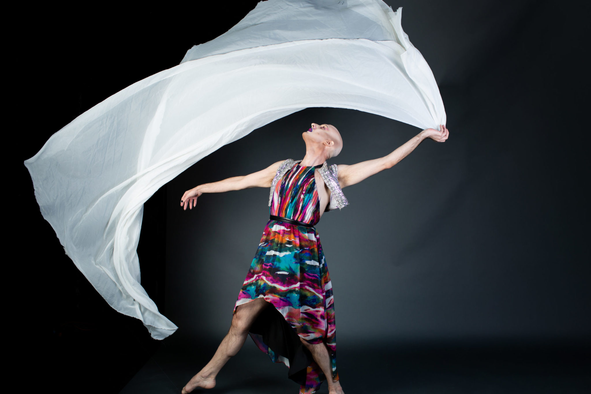 Diversionary Cabaret: REVEAL & REVOLT