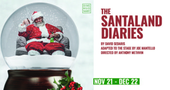 Santaland Diaries
